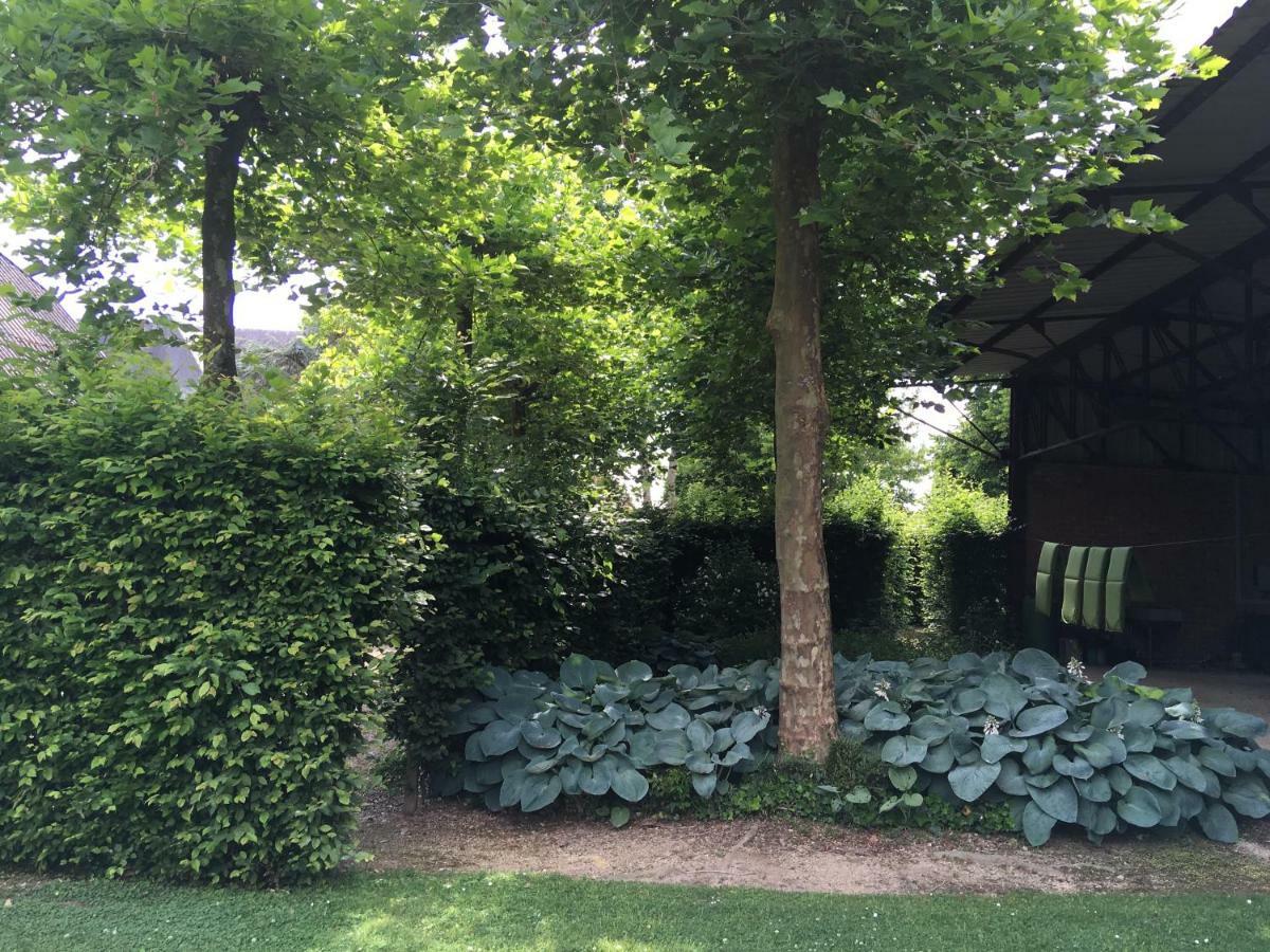 Neerhof Villa Neerlinter Eksteriør billede